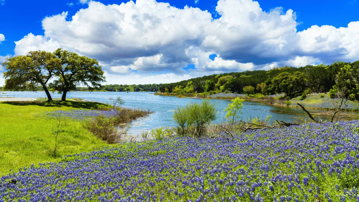 Explore Dripping Springs Neighborhoods