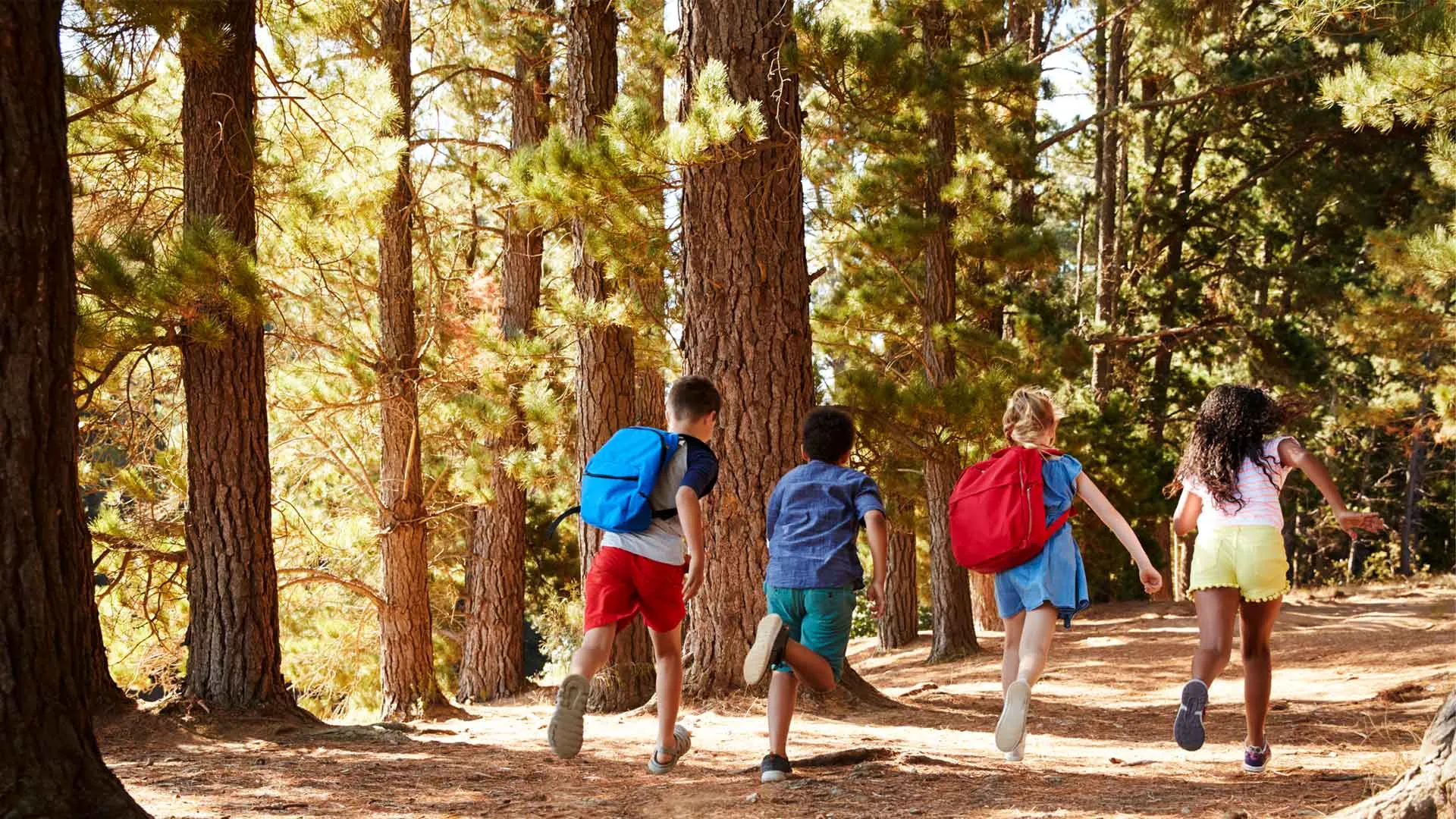 72 Summer Activities For Kids