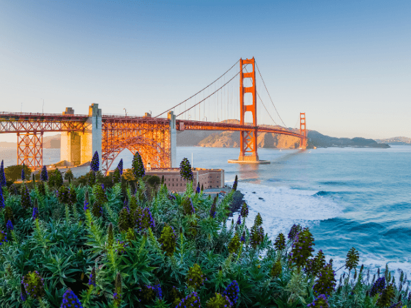 Austin landscape with bridge and ocean
