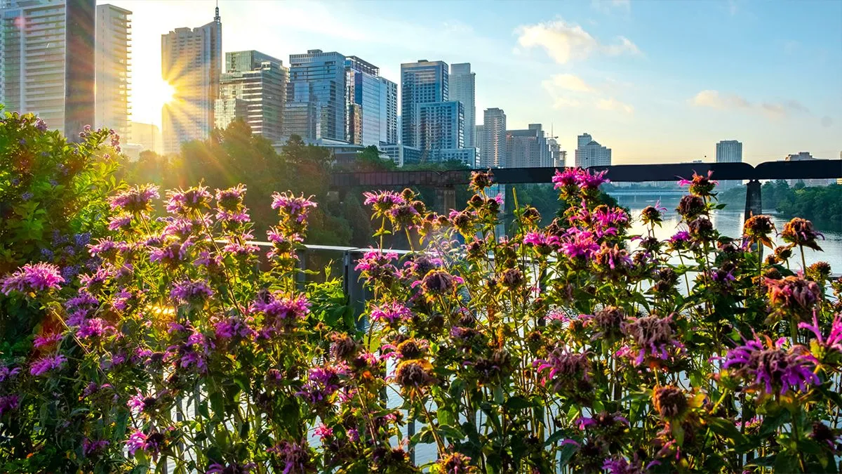 March Austin Housing Market Report