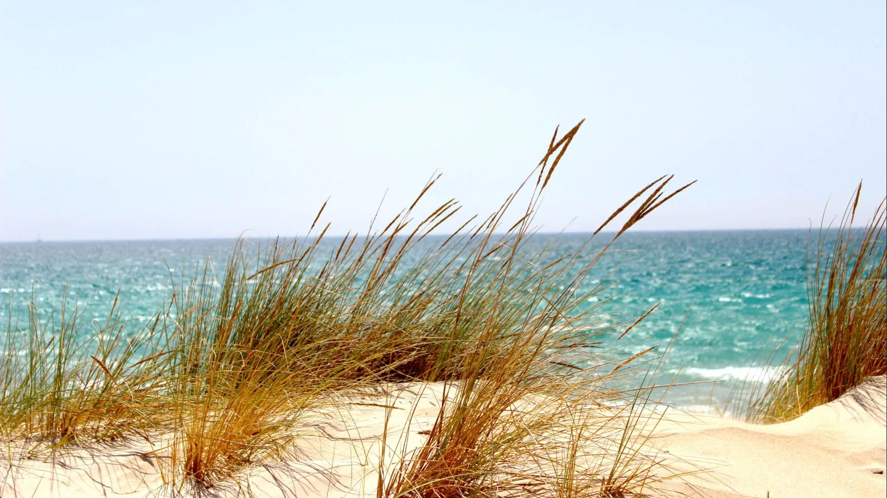 Your Guide to Texas and Austin Beaches
